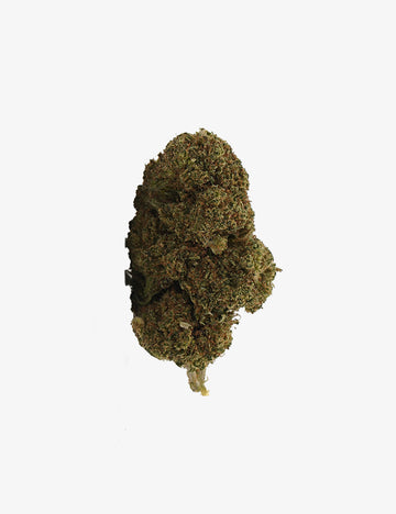 🎁 CBD-cheesecake (100% korting)