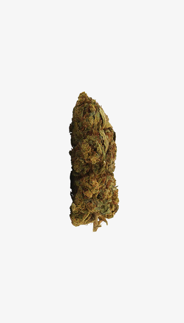 🎁 Lemon Haze CBD (100% korting)