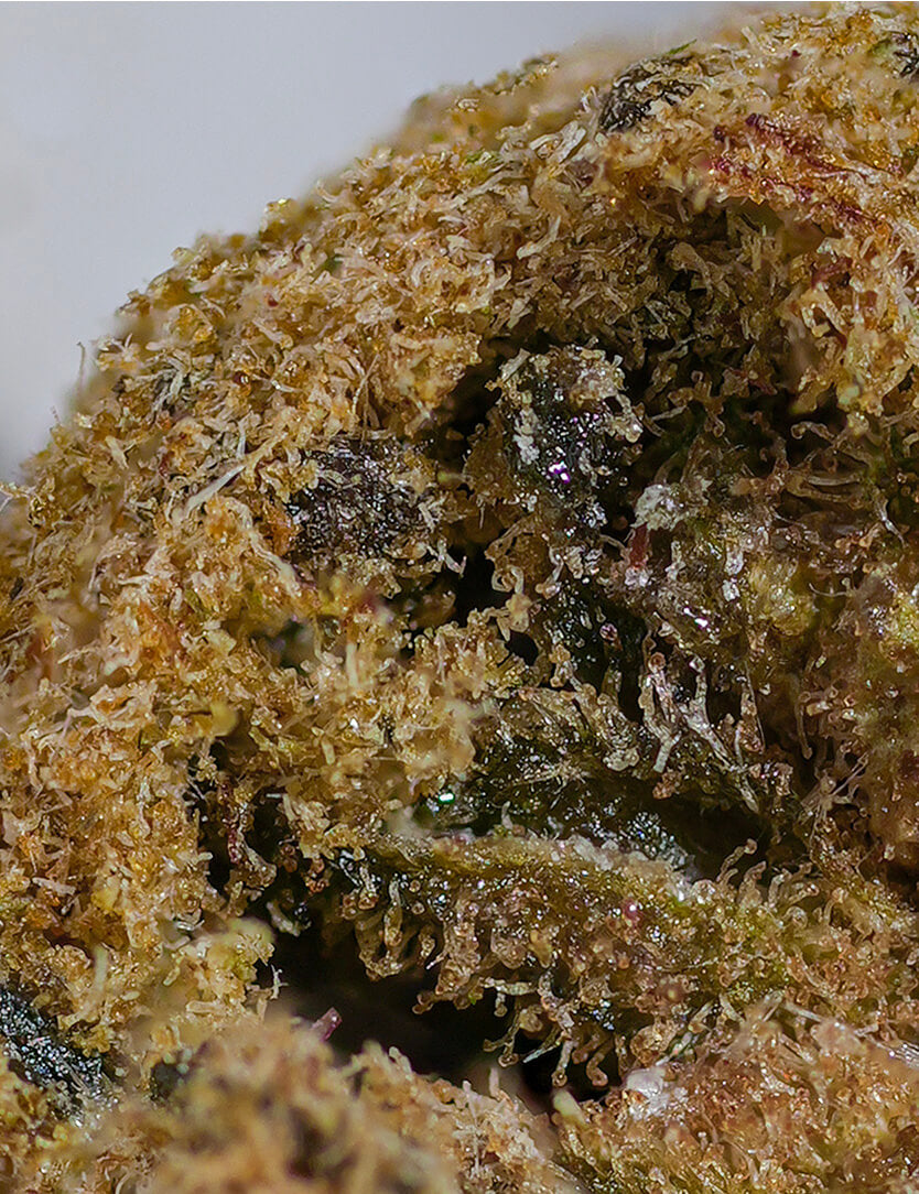 Moonrock's Babies CBD