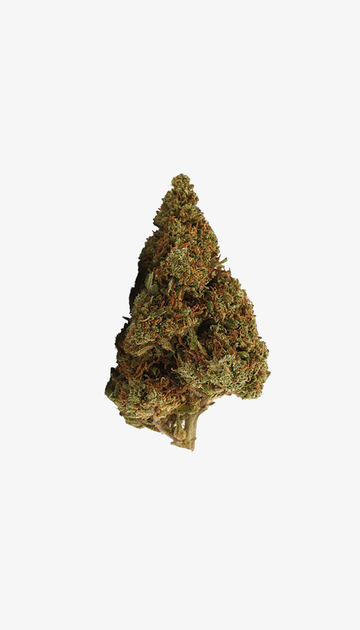 🎁 Orange Bud CBD Small Buds (100% korting)