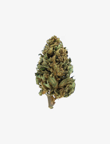 🎁 Strawberry Small Buds (100% korting)