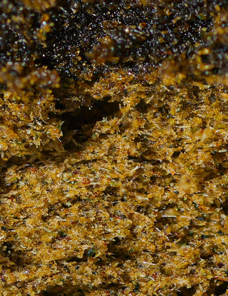 Super gefilterd RAF Delta