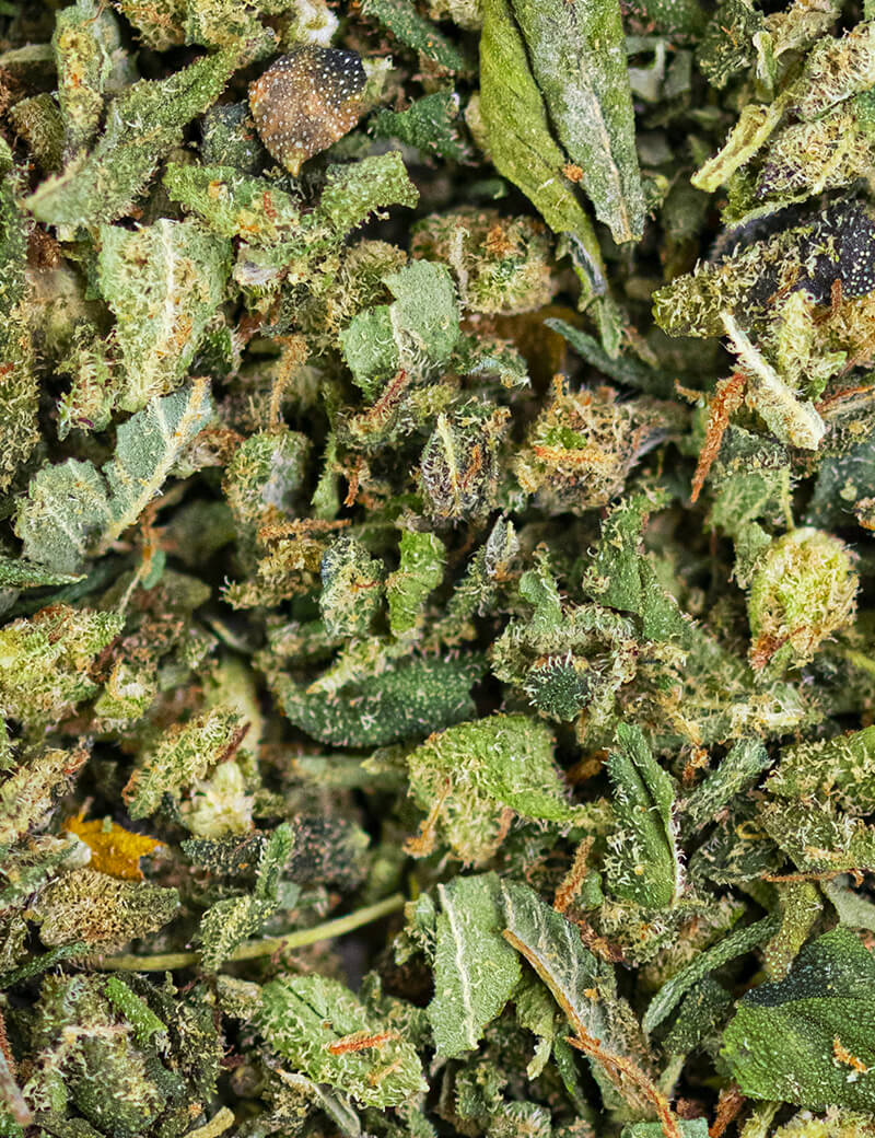 Trim Royale CBD｜Pot